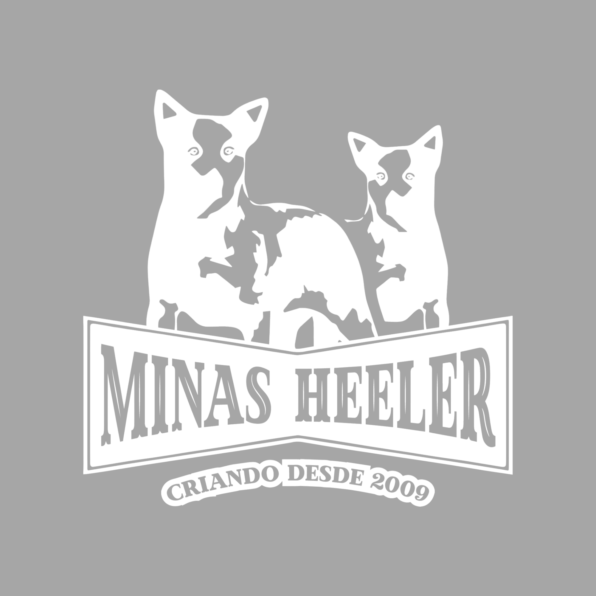 CANIL MINAS HEELER 