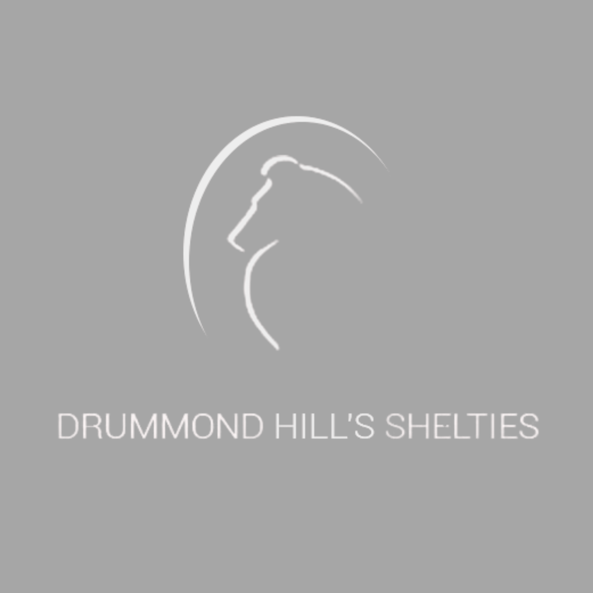 CANIL DRUMMOND HILL´S 