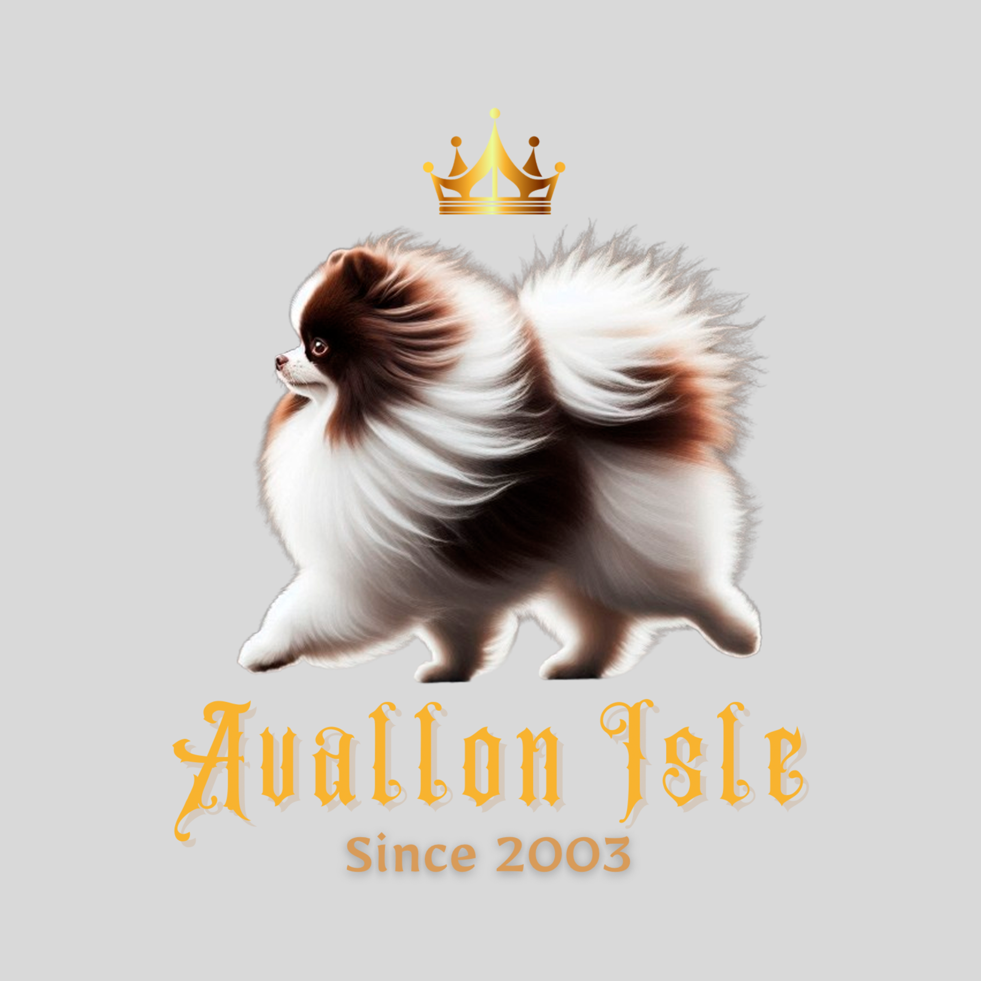 CANIL AVALLON ILSE