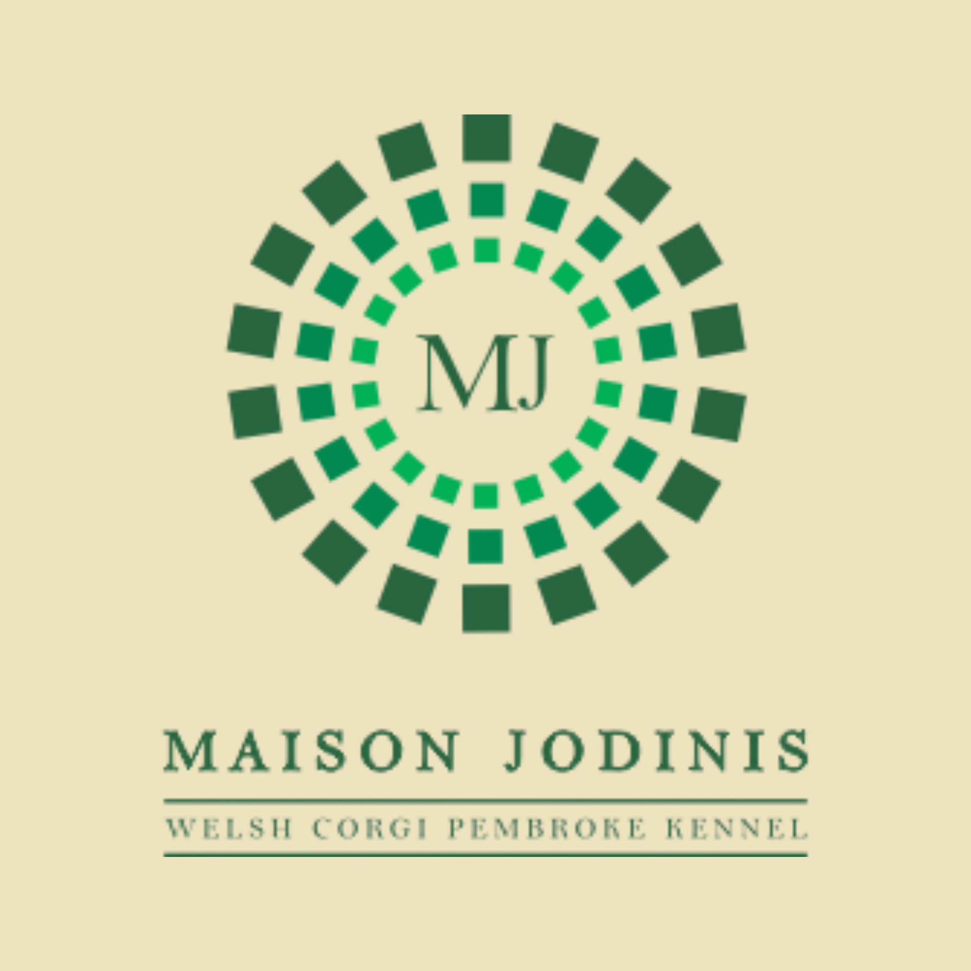 CANIL MAISON JODINIS