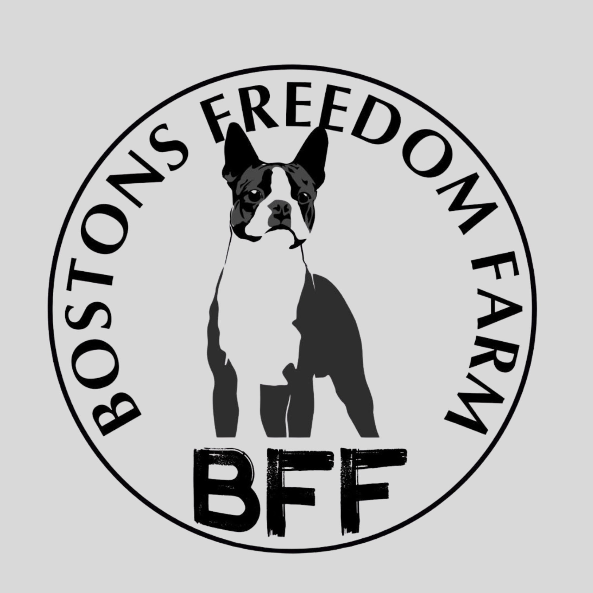 CANIL BOSTON FREEDOM FARM